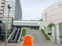 3.エスカレーターを登ります。(階段横にはエレベーターもあります。)